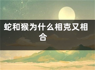 蛇和猴为什么相克又相合 