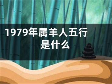 1979年属羊人五行是什么