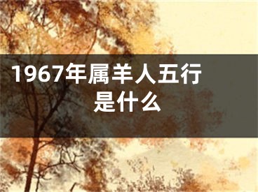 1967年属羊人五行是什么