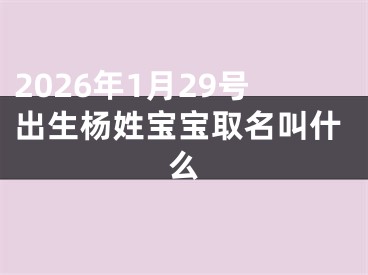 2026年1月29号出生杨姓宝宝取名叫什么
