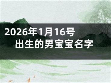 2026年1月16号出生的男宝宝名字