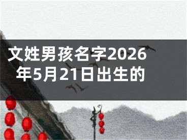 文姓男孩名字2026年5月21日出生的