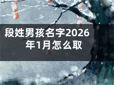 段姓男孩名字2026年1月怎么取