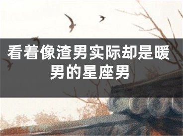 看着像渣男实际却是暖男的星座男