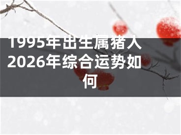 1995年出生属猪人2026年综合运势如何