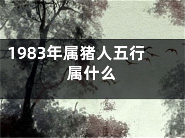 1983年属猪人五行属什么