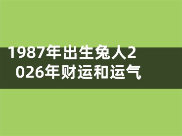 1987年出生兔人2026年财运和运气