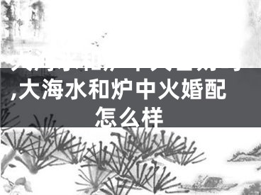 大海水和炉中火合财吗,大海水和炉中火婚配怎么样