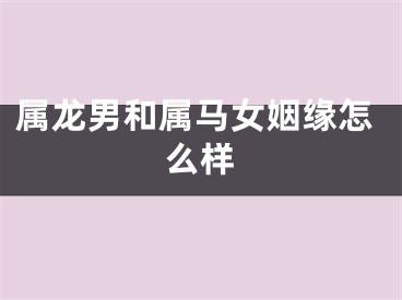 属龙男和属马女姻缘怎么样