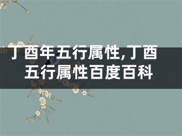 丁酉年五行属性,丁酉五行属性百度百科