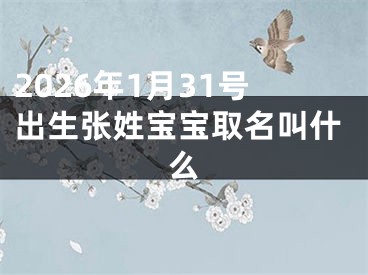 2026年1月31号出生张姓宝宝取名叫什么