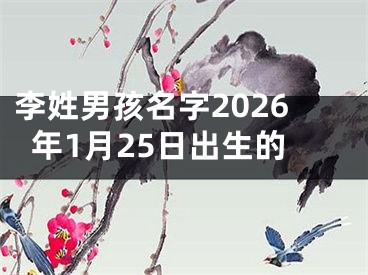 李姓男孩名字2026年1月25日出生的