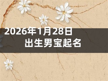2026年1月28日出生男宝起名