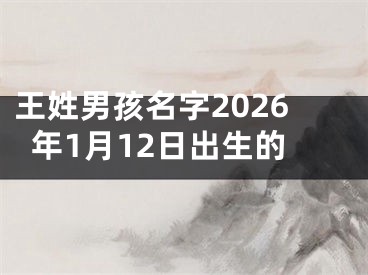 王姓男孩名字2026年1月12日出生的