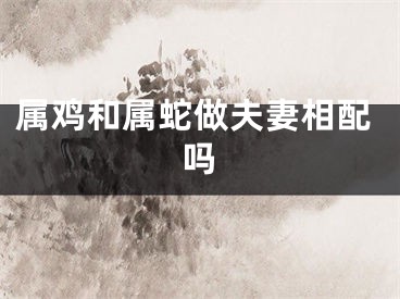 属鸡和属蛇做夫妻相配吗