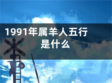 1991年属羊人五行是什么