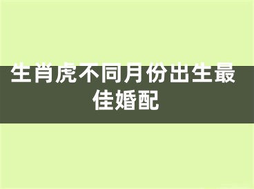 生肖虎不同月份出生最佳婚配