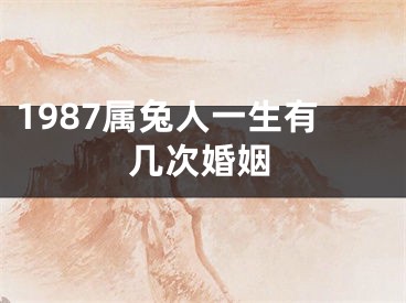 1987属兔人一生有几次婚姻