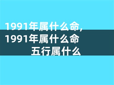 1991年属什么命,1991年属什么命 五行属什么