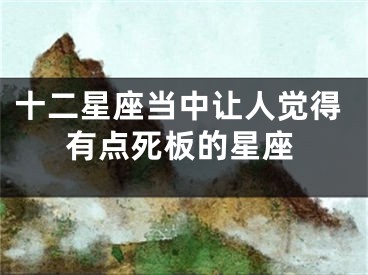 十二星座当中让人觉得有点死板的星座