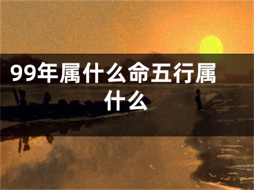 99年属什么命五行属什么