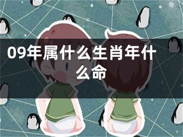 09年属什么生肖年什么命