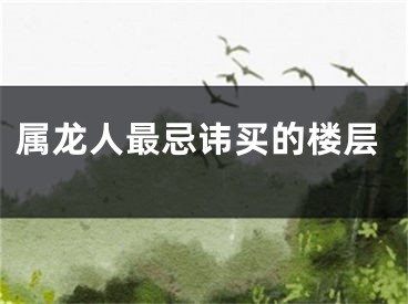 属龙人最忌讳买的楼层