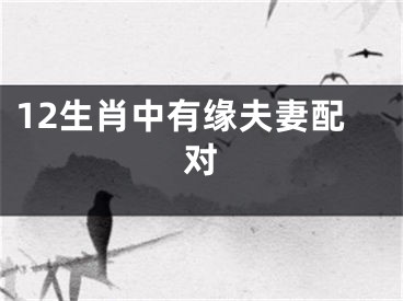 12生肖中有缘夫妻配对