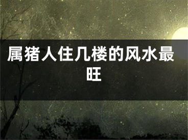 属猪人住几楼的风水最旺