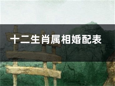 十二生肖属相婚配表