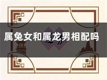 属兔女和属龙男相配吗
