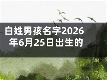 白姓男孩名字2026年6月25日出生的