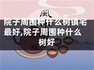 院子周围种什么树镇宅最好,院子周围种什么树好