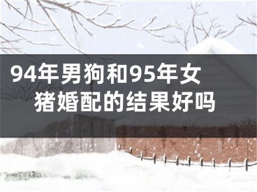 94年男狗和95年女猪婚配的结果好吗
