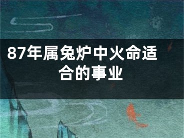 87年属兔炉中火命适合的事业