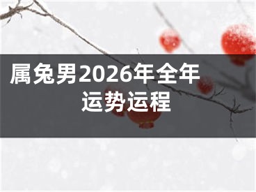 属兔男2026年全年运势运程