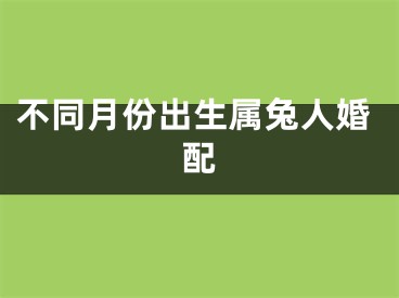 不同月份出生属兔人婚配