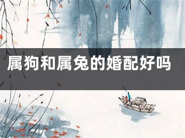 属狗和属兔的婚配好吗