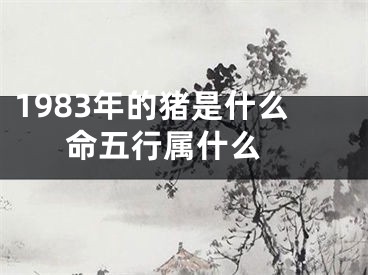 1983年的猪是什么命五行属什么 