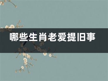 哪些生肖老爱提旧事