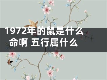 1972年的鼠是什么命啊 五行属什么 