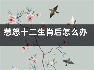 惹怒十二生肖后怎么办
