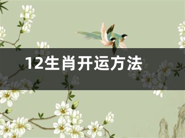 12生肖开运方法