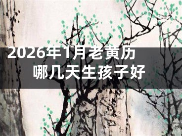 2026年1月老黄历哪几天生孩子好