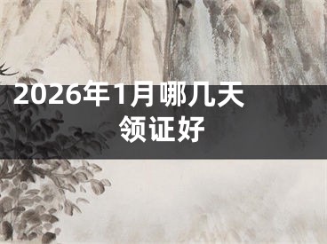 2026年1月哪几天领证好