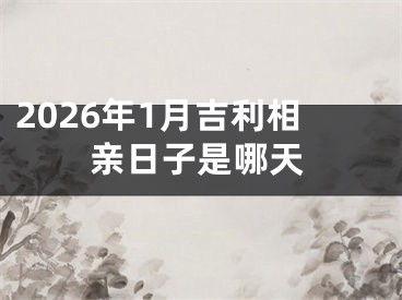 2026年1月吉利相亲日子是哪天