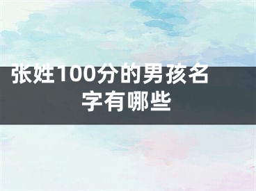 张姓100分的男孩名字有哪些