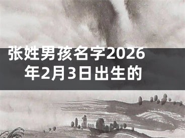 张姓男孩名字2026年2月3日出生的