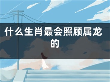 什么生肖最会照顾属龙的