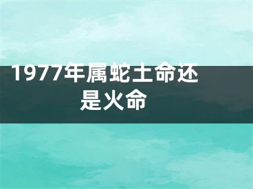 1977年属蛇土命还是火命 